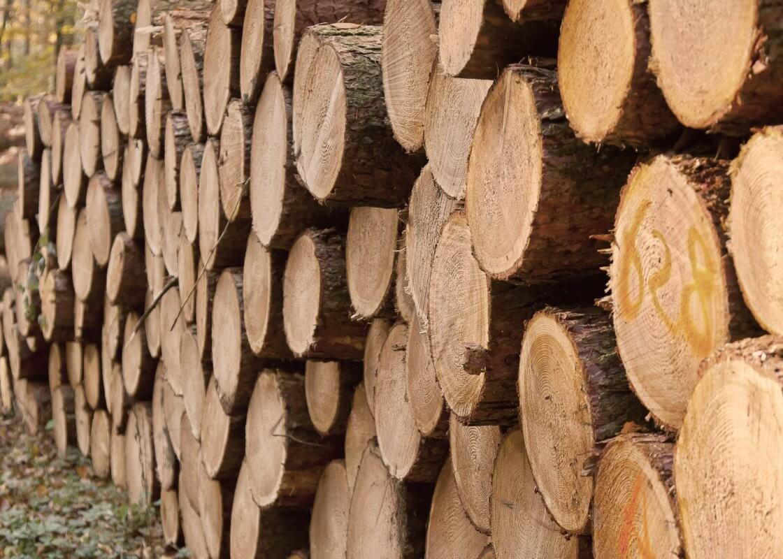 Metsäyhtiö puukauppatulo sijoittaminen